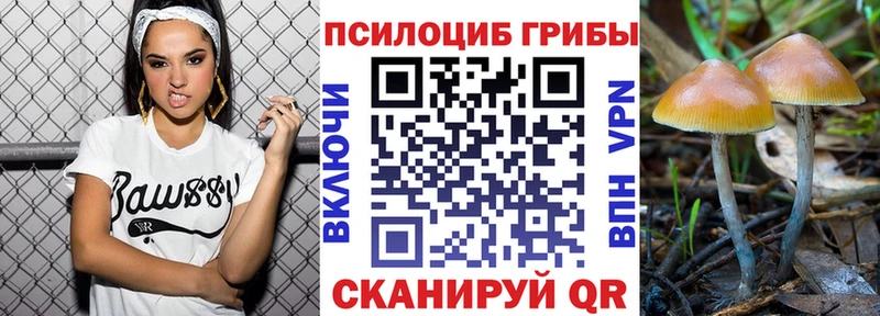 Псилоцибиновые грибы GOLDEN TEACHER  гидра сайт  Волжск 